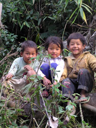 comparison_of_the_communicative_environment_of_young_language-learning_children_in_two_cultures_03.jpg
