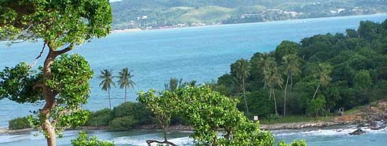 study_site_cayo_santiago.jpg
